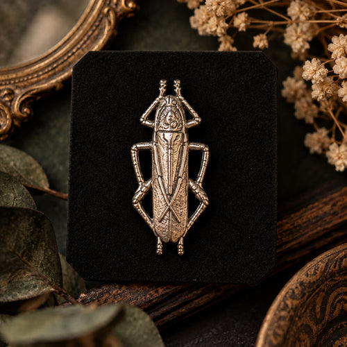 Broche insecte Création MOUNS portée sur un manteau noir